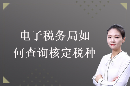 電子稅務(wù)局如何查詢核定稅種