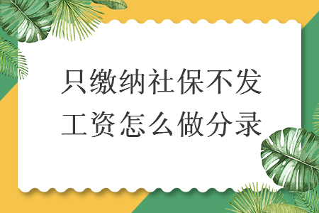 只繳納社保不發(fā)工資怎么做分錄