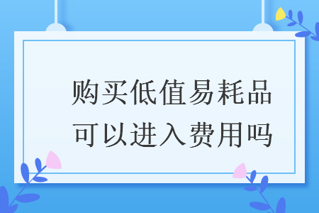 購買低值易耗品可以進入費用嗎