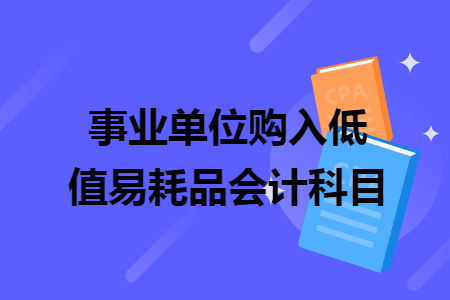 事業(yè)單位購(gòu)入低值易耗品會(huì)計(jì)科目