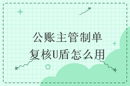 公賬主管制單復核U盾怎么用