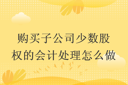 購(gòu)買子公司少數(shù)股權(quán)的會(huì)計(jì)處理怎么做