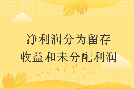 凈利潤(rùn)分為留存收益和未分配利潤(rùn)