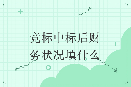 競標(biāo)中標(biāo)后財(cái)務(wù)狀況填什么