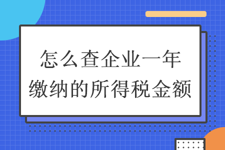 怎么查企業(yè)一年繳納的所得稅金額