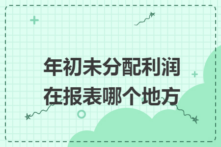 年初未分配利潤在報表哪個地方