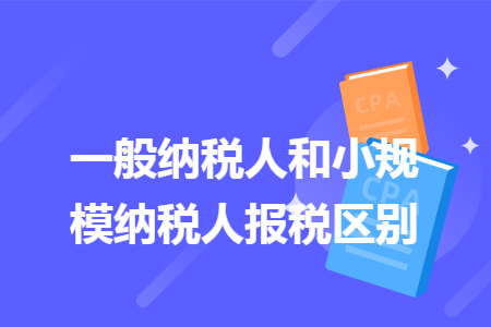 一般納稅人和小規(guī)模納稅人報(bào)稅區(qū)別