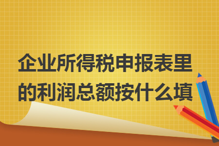 企業(yè)所得稅申報(bào)表里的利潤(rùn)總額按什么填