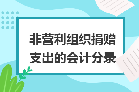 非營(yíng)利組織捐贈(zèng)支出的會(huì)計(jì)分錄