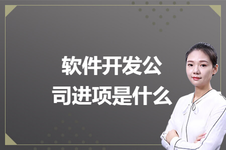 軟件開發(fā)公司進項是什么