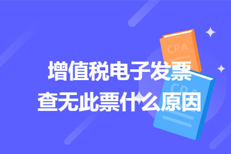 增值稅電子發(fā)票查無此票什么原因