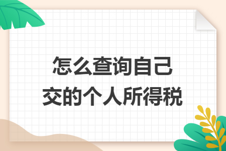 怎么查詢自己交的個人所得稅