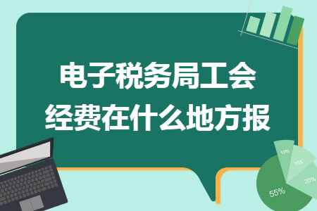 電子稅務(wù)局工會(huì)經(jīng)費(fèi)在什么地方報(bào)