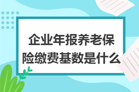 企業(yè)年報(bào)養(yǎng)老保險(xiǎn)繳費(fèi)基數(shù)是什么