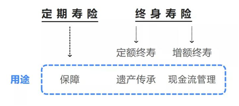 養(yǎng)老金/教育金的最佳選擇