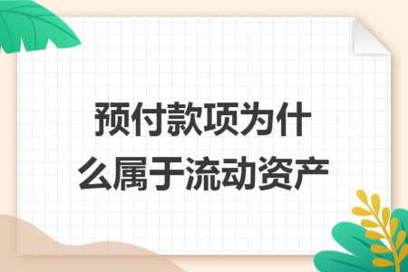 預(yù)付款項(xiàng)為什么屬于流動(dòng)資產(chǎn)