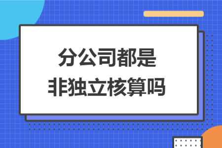分公司都是非獨(dú)立核算嗎
