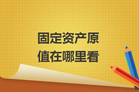 固定資產(chǎn)原值在哪里看
