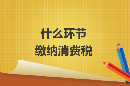 什么環(huán)節(jié)繳納消費稅