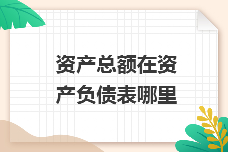 資產(chǎn)總額在資產(chǎn)負債表哪里