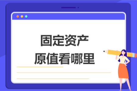 固定資產(chǎn)原值看哪里