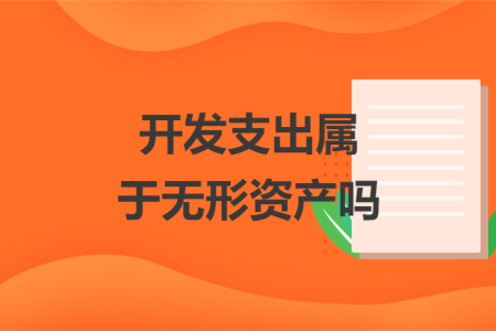 開發(fā)支出屬于無形資產(chǎn)嗎