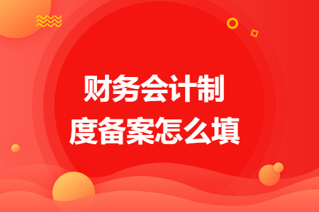 財務(wù)會計制度備案怎么填