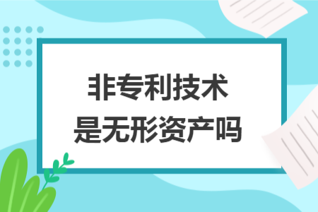 非專利技術是無形資產(chǎn)嗎