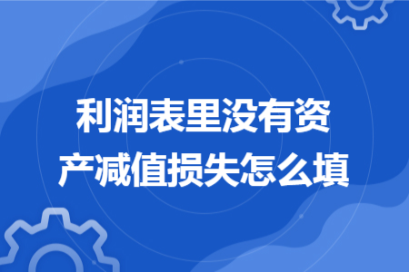 利潤表里沒有資產(chǎn)減值損失怎么填