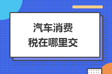 汽車(chē)消費(fèi)稅在哪里交
