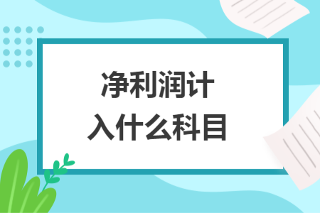 凈利潤(rùn)計(jì)入什么科目