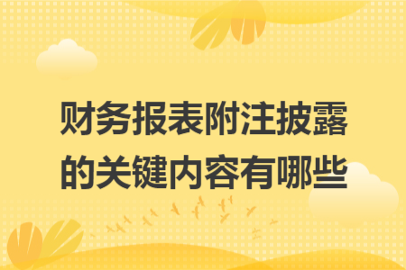 財(cái)務(wù)報(bào)表附注披露的關(guān)鍵內(nèi)容有哪些