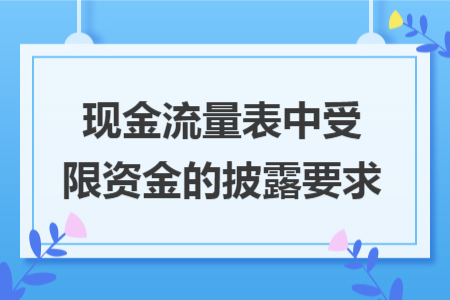 現(xiàn)金流量表中受限資金的披露要求