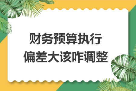 財務(wù)預(yù)算執(zhí)行偏差大該咋調(diào)整