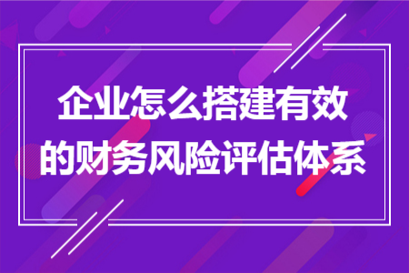 企業(yè)怎么搭建有效的財(cái)務(wù)風(fēng)險(xiǎn)評估體系